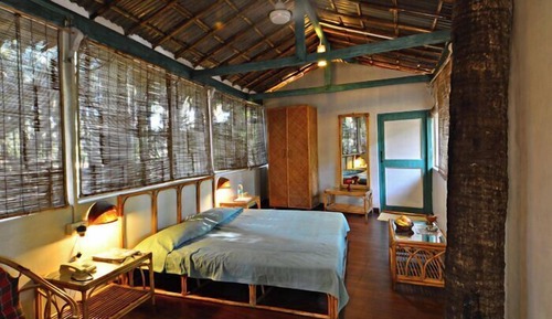 Tree House - Non AC