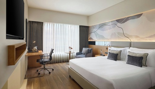 Premium Room, 1 King Bed, Mountain View