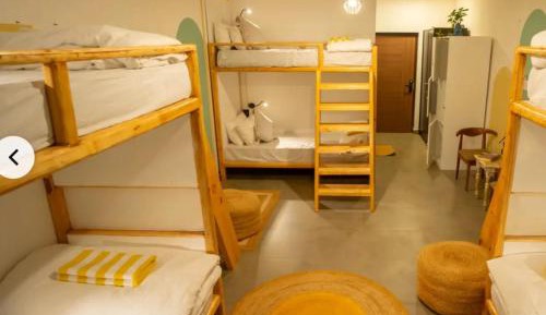 Bed in 8-Bed Mixed Dormitory Room