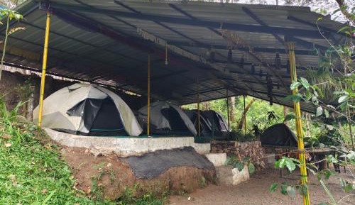 Tent