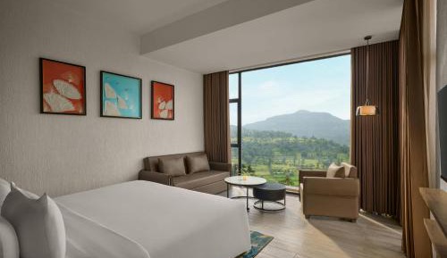 Winter Green Premium King Room with Mountain View