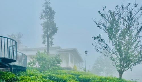 Villa with Garden View