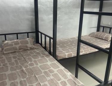 Single Bed in Mixed Dormitory Room