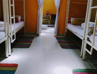 Bed in 8-Bed Dormitory Room