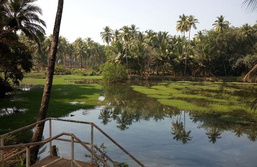 Bogmolo House | Raikar Guest House