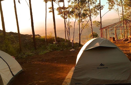 Suryanelli Bed & Breakfast | Munnar Jungle Camp