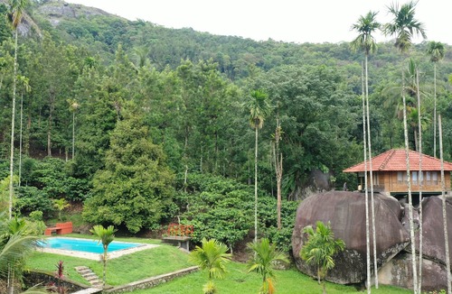 Kalpetta Resort | Avadale Wayanad - Stag Group Not Allowed