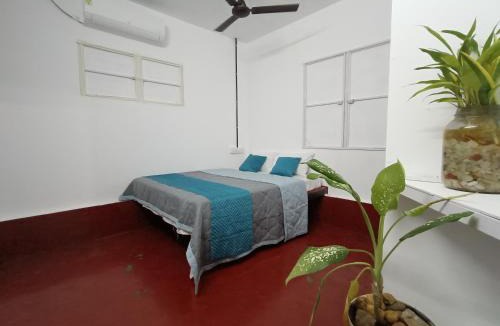 Athirapally Villa | AURORA HOME STAY Athirappilly