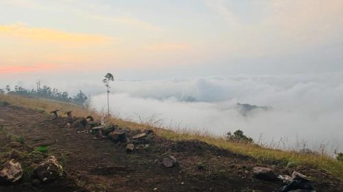 Udumbanchola Other | westren ghat munnar camsite