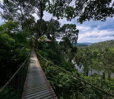 Pirmed House | Noah's Nest Tree House