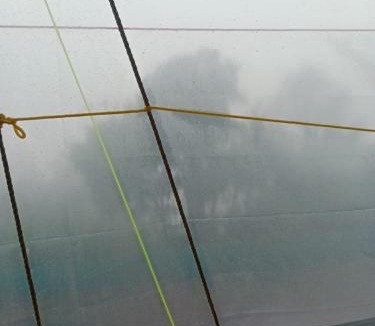 Mahabaleshwar House | Shaurya's Homestay