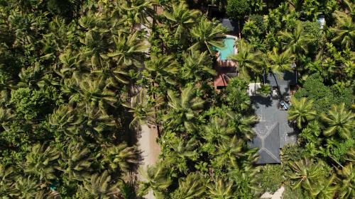 Alibaug Villa | ReSync Areca - 3BR villa with Pool, Private Theatre, Snooker Room and Curated Meals