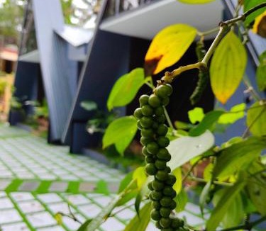 Munroe Island House | Creek Cottage