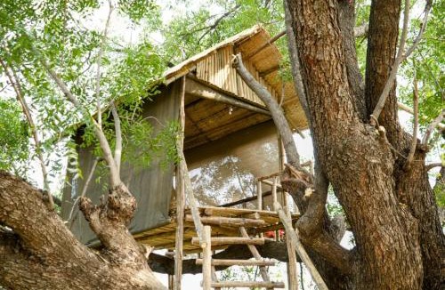 Pandharkawada Hotel | Junglee Bagicha Agro Tourism