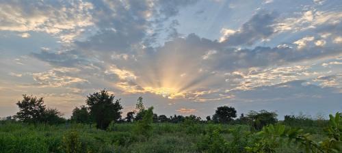 Pandharkawada Hotel | Junglee Bagicha Agro Tourism