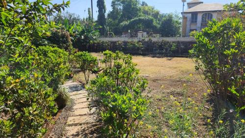 Waksai Resort | Elephant House Premium Villa