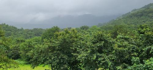 Mangaon Villa | Gulmohar Villa tamhini ghat, Kolad Rafting, Mulshi dam