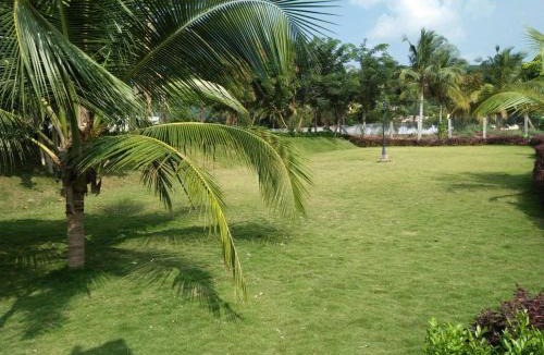 Nattam Resort | Mount Retreat Resorts - Madurai