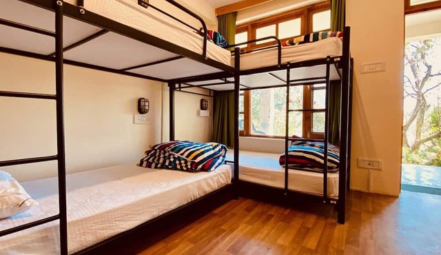 Madpackers Manali - Hostel in Manali