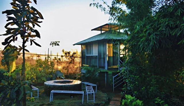 Forrest Homestay Villa