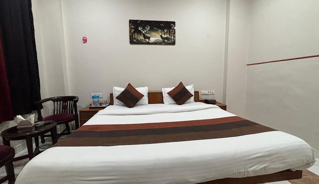 Hotel Dhola Maru in Kota