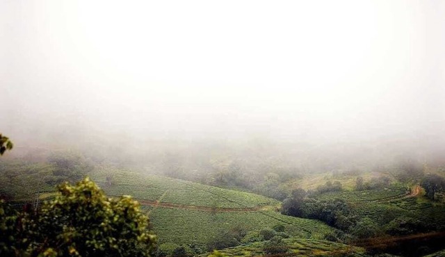 Escape To Serenity, Vagamon's Hidden Gem: Luxurious Poolside Haven.