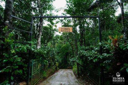 Eloria Banasura resort