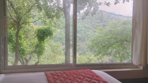 Misty valley Resort