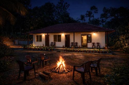 BlueMoon Homestay - Home Food, Estate, Near to Falls and View Points